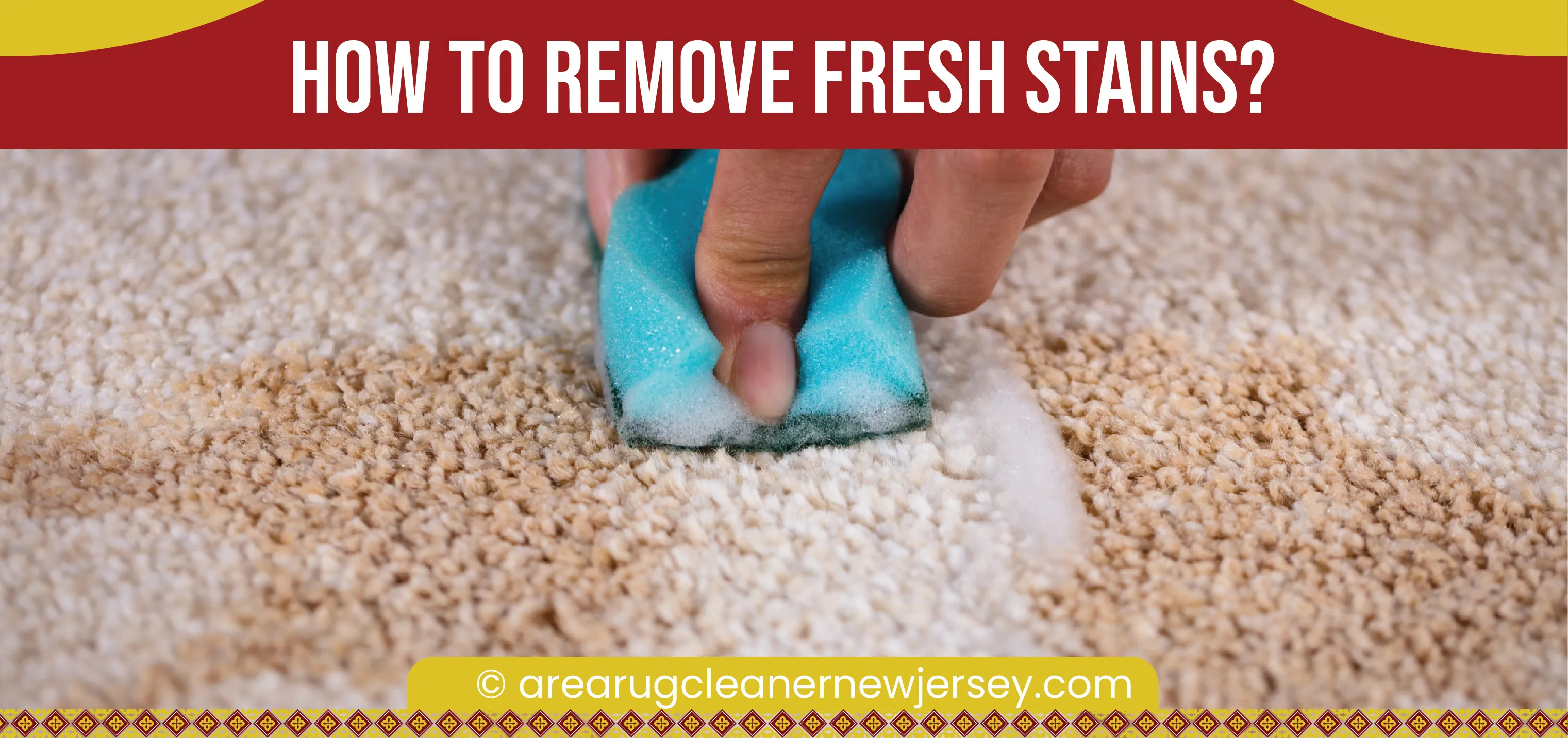 carpet cleaning in new jersey, carpet cleaning new jersey, carpet cleaners in new jersey, carpet cleaners in new jersey, commercial carpet cleaning, commercial carpet cleaning in new jersey, new jersey rug cleaners, rug cleaning services in new jersey, same day carpet cleaning, same day rug cleaning in new jersey, carpet cleaning in nj, carpet cleaning nj, carpet cleaners in nj, carpet cleaners in nj, commercial carpet cleaning, commercial carpet cleaning in nj, nj rug cleaners, rug cleaning services in nj, same day carpet cleaning, same day rug cleaning in nj