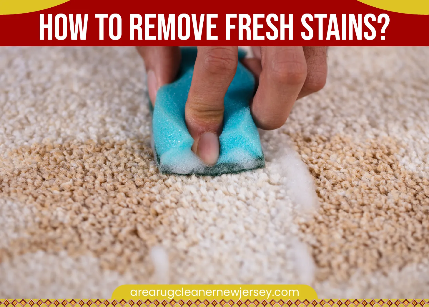 carpet cleaning in new jersey, carpet cleaning new jersey, carpet cleaners in new jersey, carpet cleaners in new jersey, commercial carpet cleaning, commercial carpet cleaning in new jersey, new jersey rug cleaners, rug cleaning services in new jersey, same day carpet cleaning, same day rug cleaning in new jersey, carpet cleaning in nj, carpet cleaning nj, carpet cleaners in nj, carpet cleaners in nj, commercial carpet cleaning, commercial carpet cleaning in nj, nj rug cleaners, rug cleaning services in nj, same day carpet cleaning, same day rug cleaning in nj