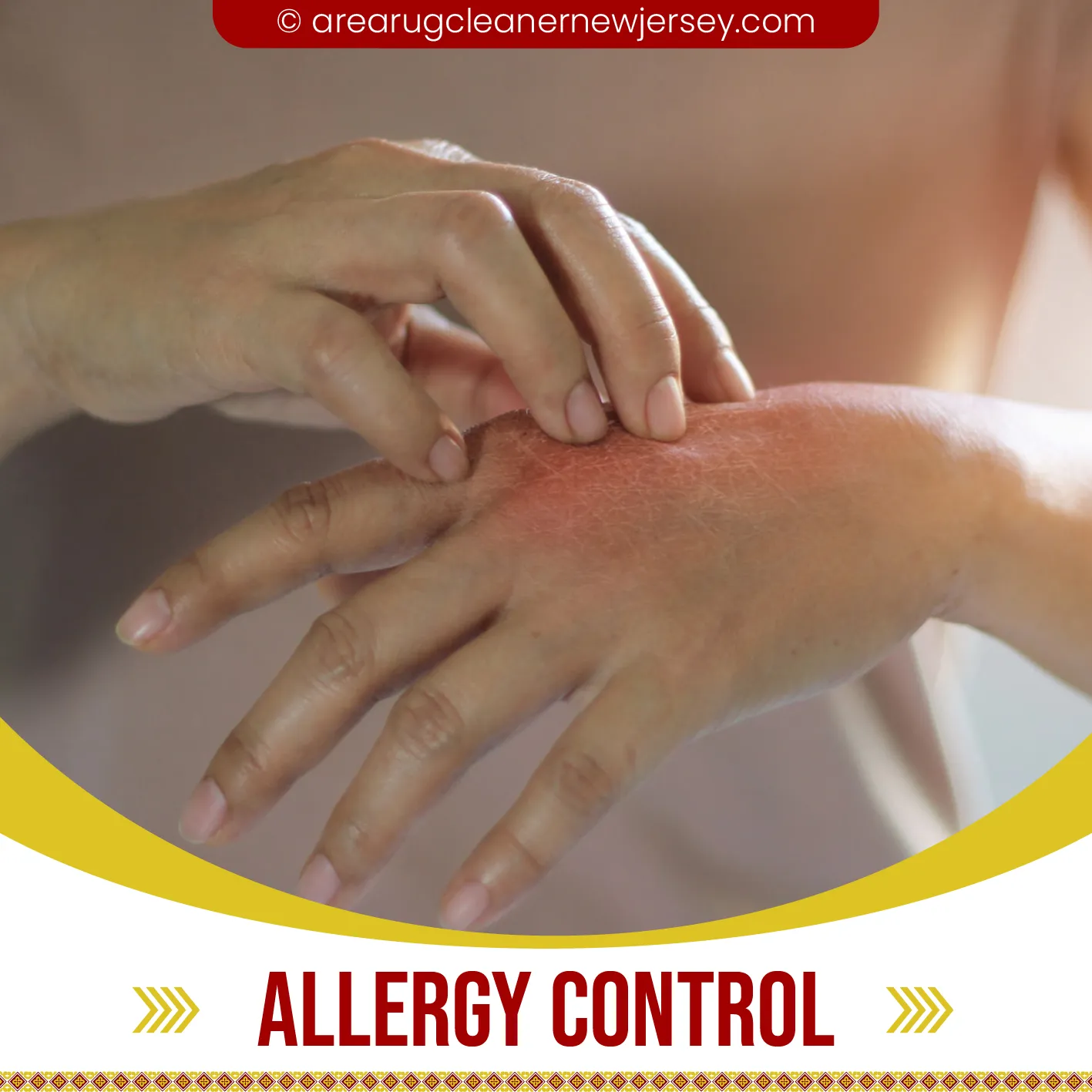 carpet cleaning in new jersey, carpet cleaning new jersey, carpet cleaners in new jersey, carpet cleaners in new jersey, commercial carpet cleaning, commercial carpet cleaning in new jersey, new jersey rug cleaners, rug cleaning services in new jersey, same day carpet cleaning, same day rug cleaning in new jersey, carpet cleaning in nj, carpet cleaning nj, carpet cleaners in nj, carpet cleaners in nj, commercial carpet cleaning, commercial carpet cleaning in nj, nj rug cleaners, rug cleaning services in nj, same day carpet cleaning, same day rug cleaning in nj